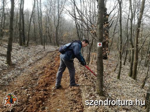 201703_jelzesfestes_108.JPG