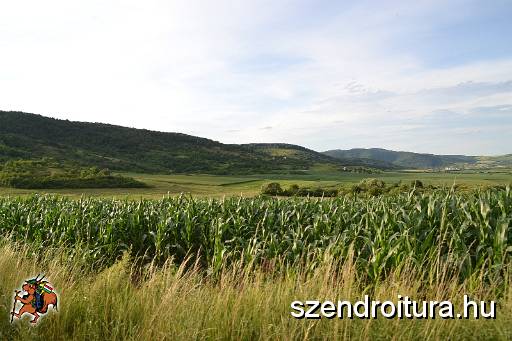 201706_ejszakai_tura_104.JPG