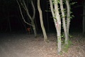201706_ejszakai_tura_113