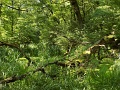 201706_tt_kurucportya_101
