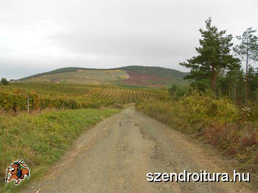 201710_nagy_eged_tt_109.JPG