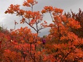 201710_nagy_eged_tt_103