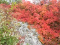 201710_nagy_eged_tt_110