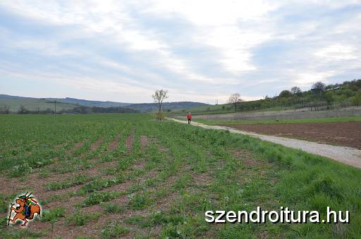 vitezlo_2017_best_of_1_114.jpg