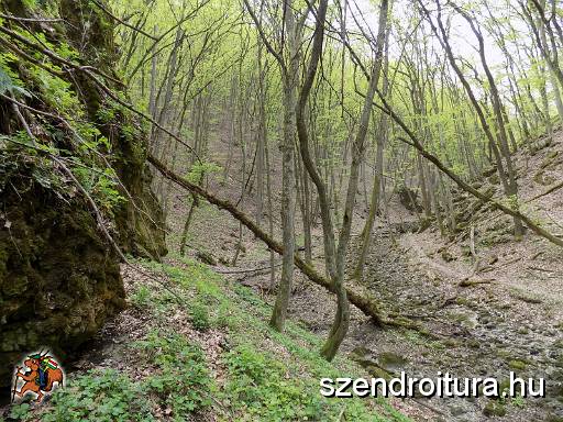 vitezlo_2017_best_of_2_102.jpg