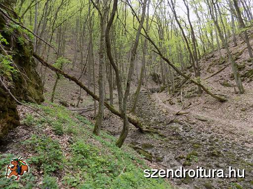 vitezlo_2017_best_of_2_184.jpg