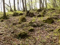 vitezlo_2017_best_of_2_154
