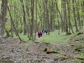 vitezlo_2017_best_of_2_187