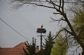 vitezlo_2017_best_of_5_111