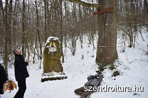 201801_cserepfalu_kirandulas_109.JPG