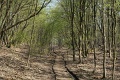 201804_vitezlo_tura_best_of_187