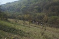 201804_vitezlo_tura_best_of_188